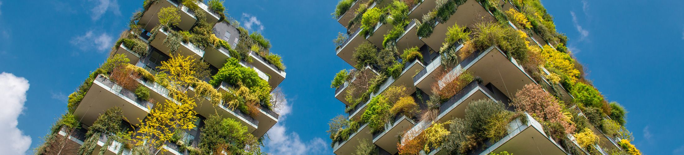 Modern building exterior with a grassy rooftop and open gallery space