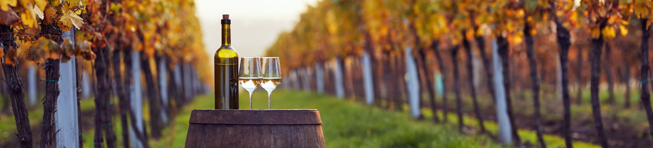 best italian wines