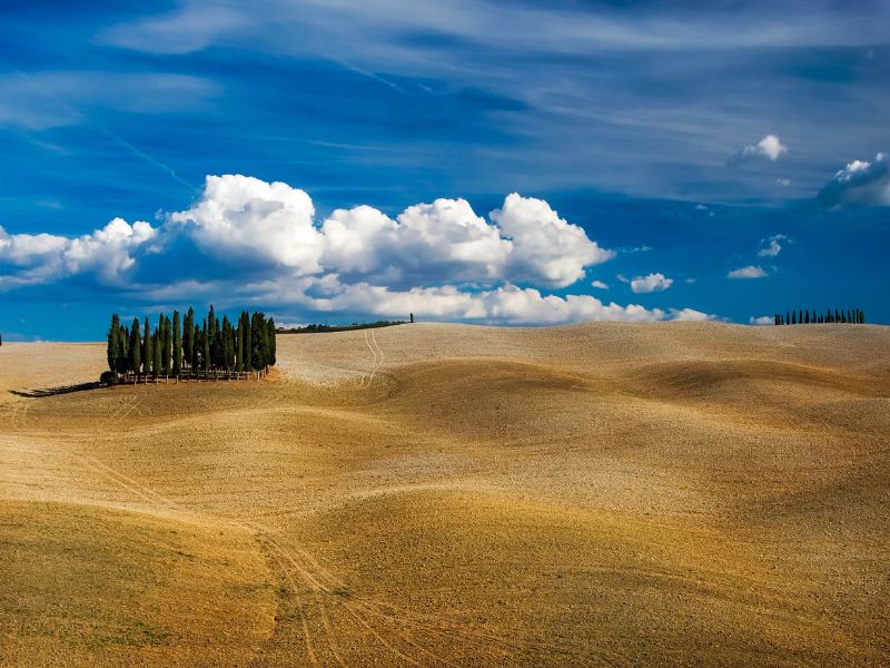 Tuscany Unveiled: a journey through heart and soul 1 tuscany hills